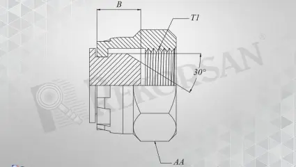 BSP SOMUNLU TAPA
