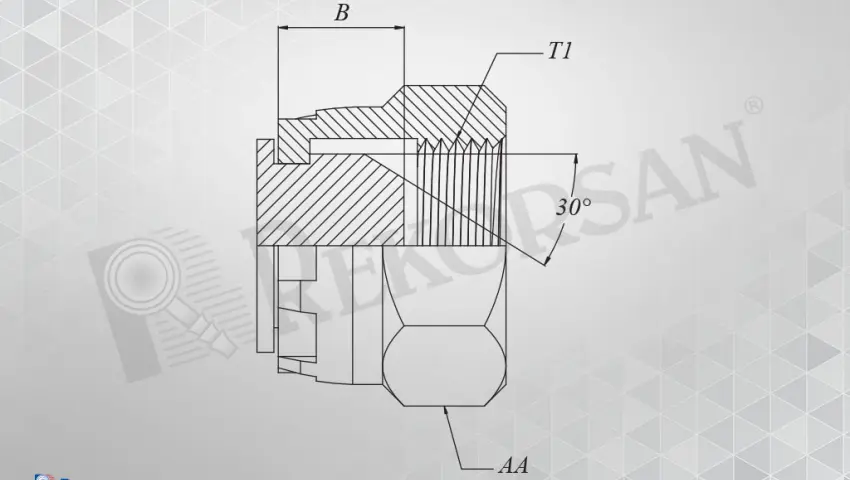 BSP SOMUNLU TAPA